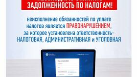Что означает отрицательное сальдо ЕНС в Народная Семья