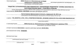 Что такое отчетный год в налоговой декларации в Народная Семья