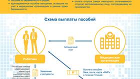 Что значит федеральные выплаты в Народная Семья
