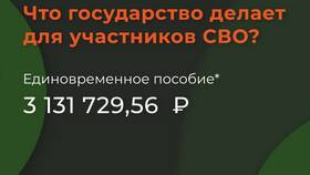 Единовременная выплата на СВО: что это значит в Народная Семья