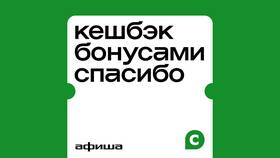 Как начисляются СберСпасибо в Народная Семья