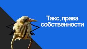 Как называется документ на право собственности в Народная Семья