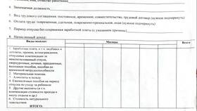 Как называется справка о доходах в Народная Семья