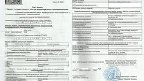 Как оформить ИП для оказания услуг: пошаговая инструкция в Народная Семья