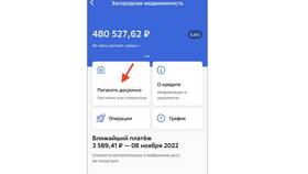 Как оплатить кредит через приложение Сбербанк в Народная Семья