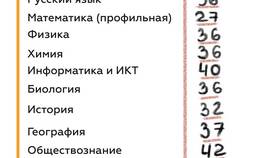 Как подать апелляцию о результатах ЕГЭ через Госуслуги в Народная Семья