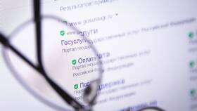 Как получить справку о доходах через Госуслуги в Народная Семья