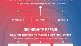 Как пополнить ЕНС для ИП: подробная инструкция в Народная Семья