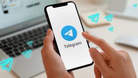 Как привязать Telegram к другим сервисам в Народная Семья
