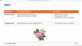 Как проверить НДФЛ по сотруднику в Народная Семья