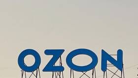 Почему не работает Ozon сегодня в интернете в Народная Семья