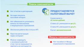Почему статус самозанятости не отображается в налоговой в Народная Семья