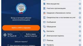 Почему зависает кабинет налогоплательщика для ИП в Народная Семья