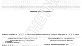 Зачтено на ЕНС: что значит по декларации в Народная Семья